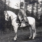 Hussar on Horse
