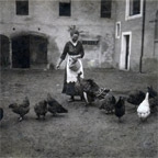 Farmers Wife feeding Chicken