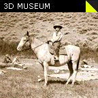 Stereo 3D Museum